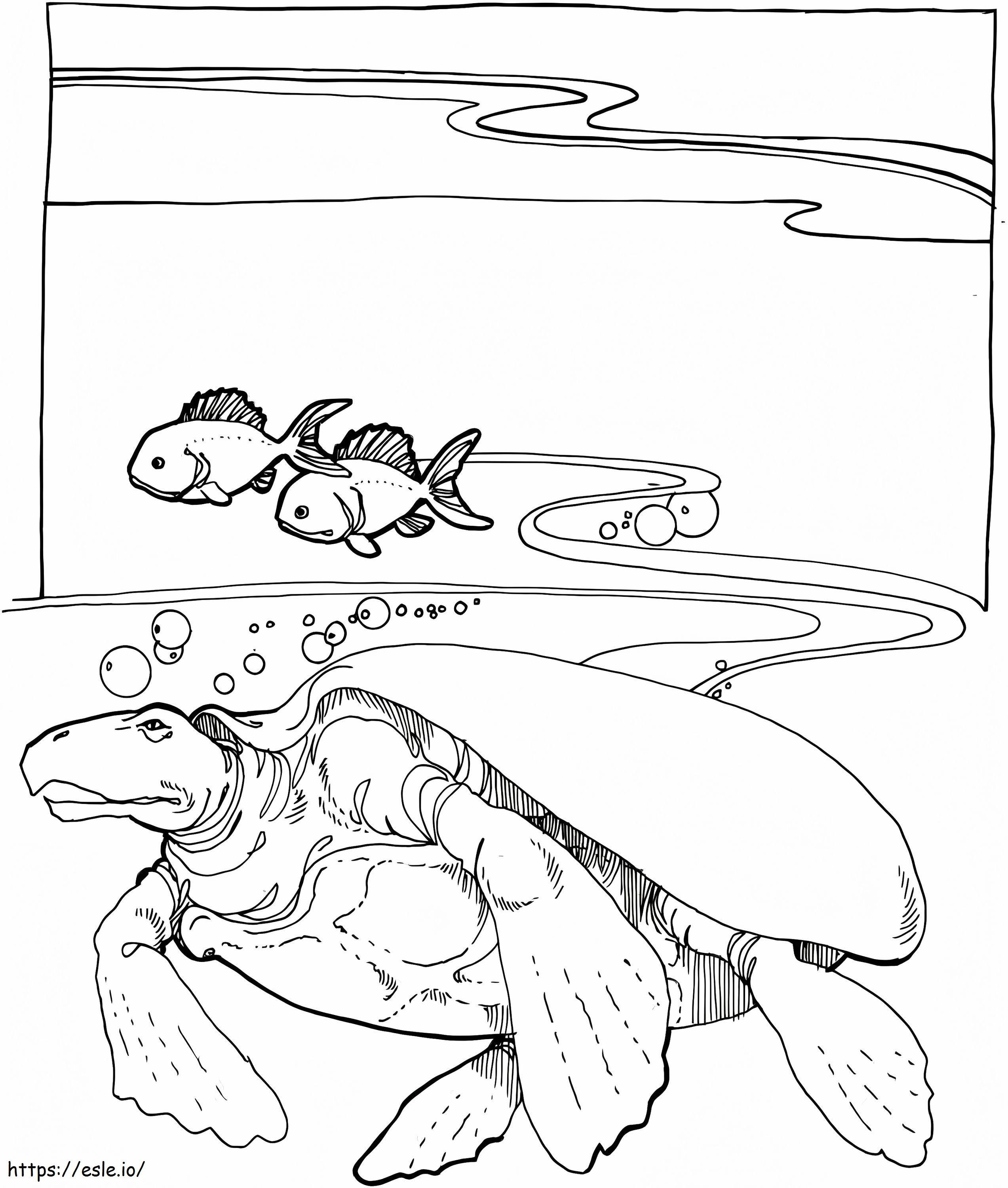 Ausgestorbene Meeresschildkröte Archelon ausmalbilder