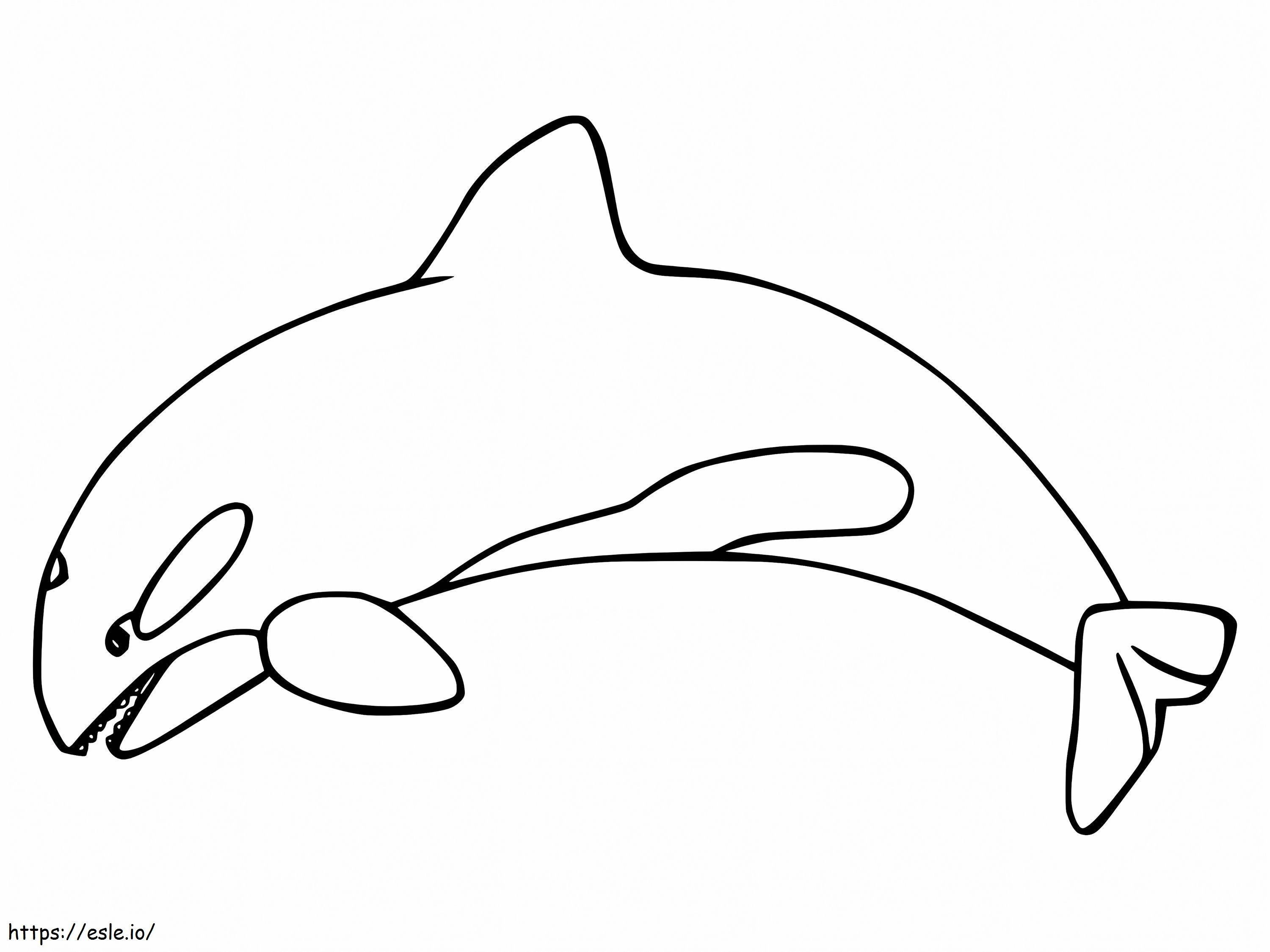 Coloriage Baleine orque gratuite à imprimer dessin