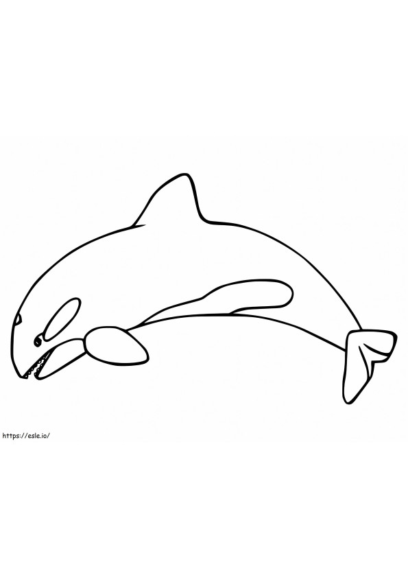 Baleia Orca Livre para colorir