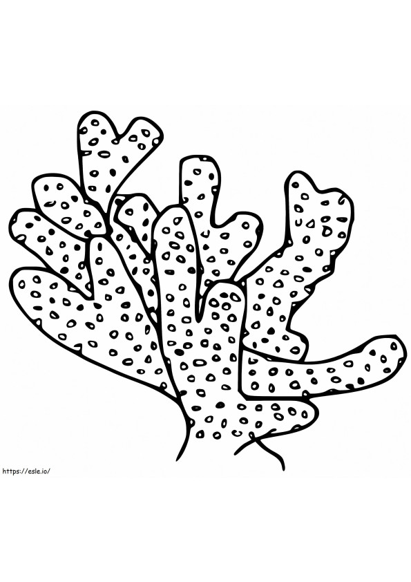 Type Coral coloring page