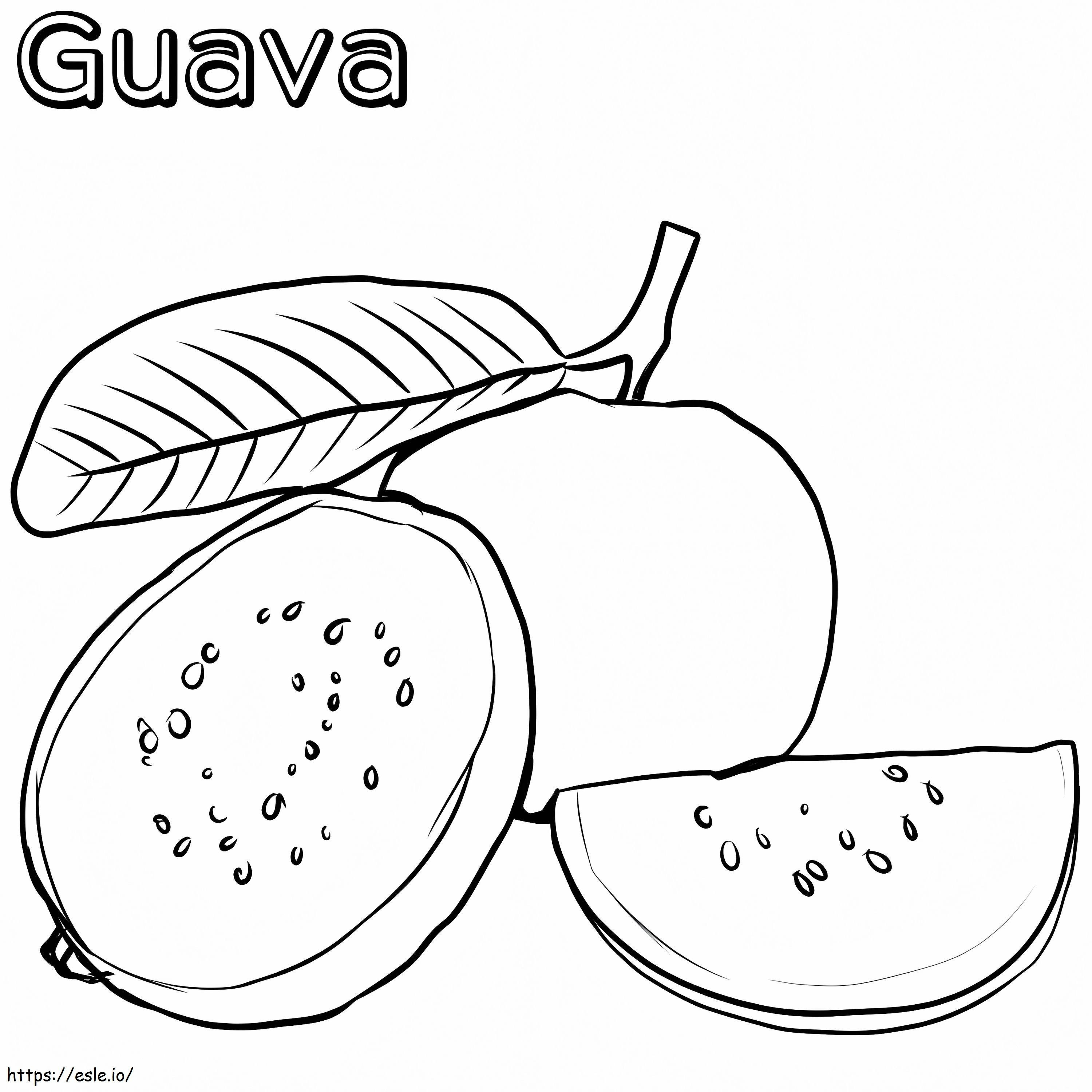 Basis guave kleurplaat kleurplaat