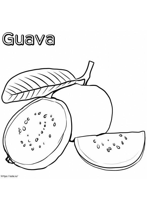 Basic Guava coloring page
