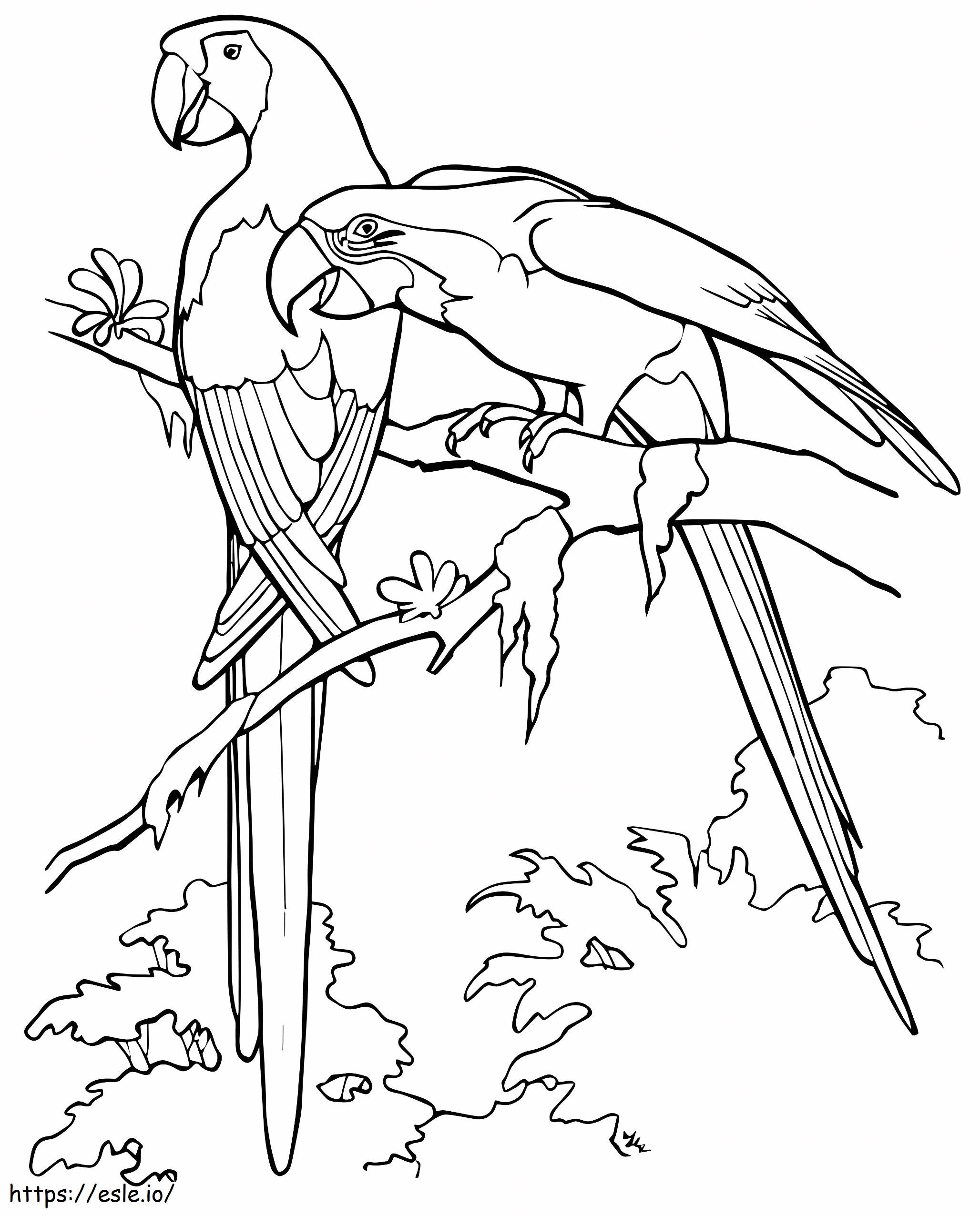 Two Scarlet Macaw Parrots coloring page