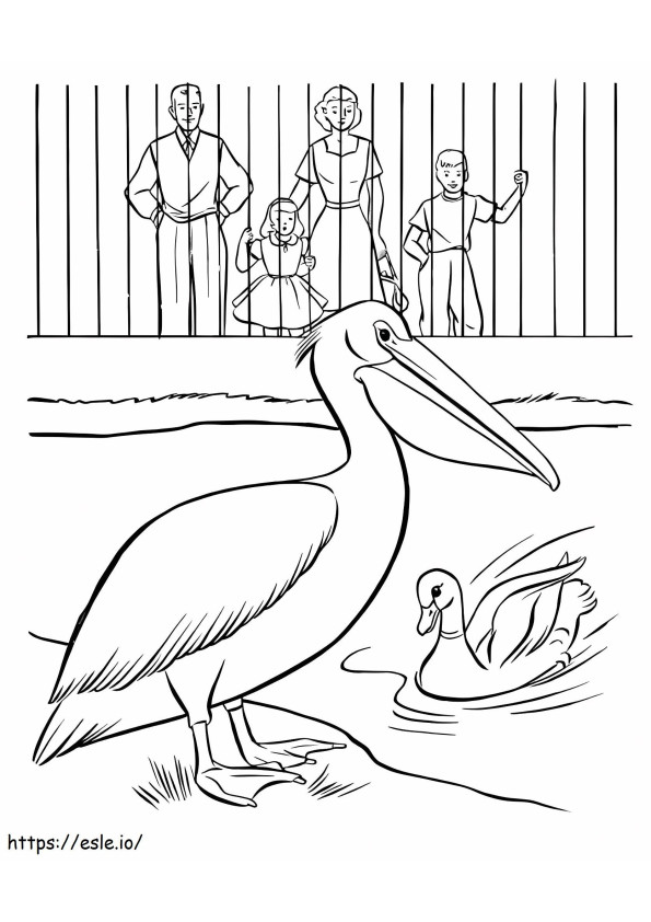 Pelikan und Ente im Zoo ausmalbilder