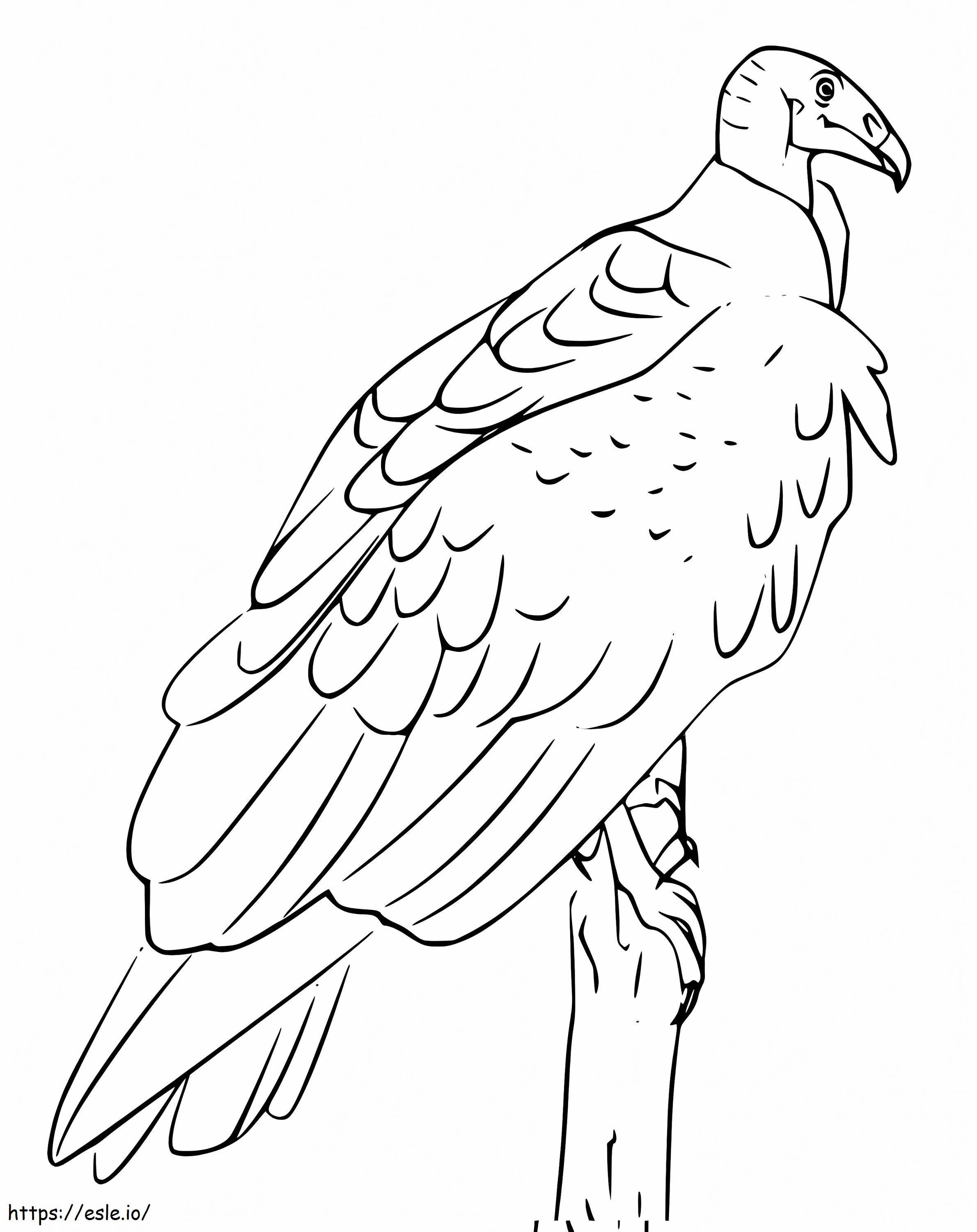 Vulturul 6 de colorat