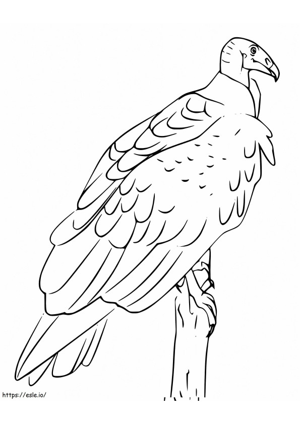 Avvoltoio 6 da colorare