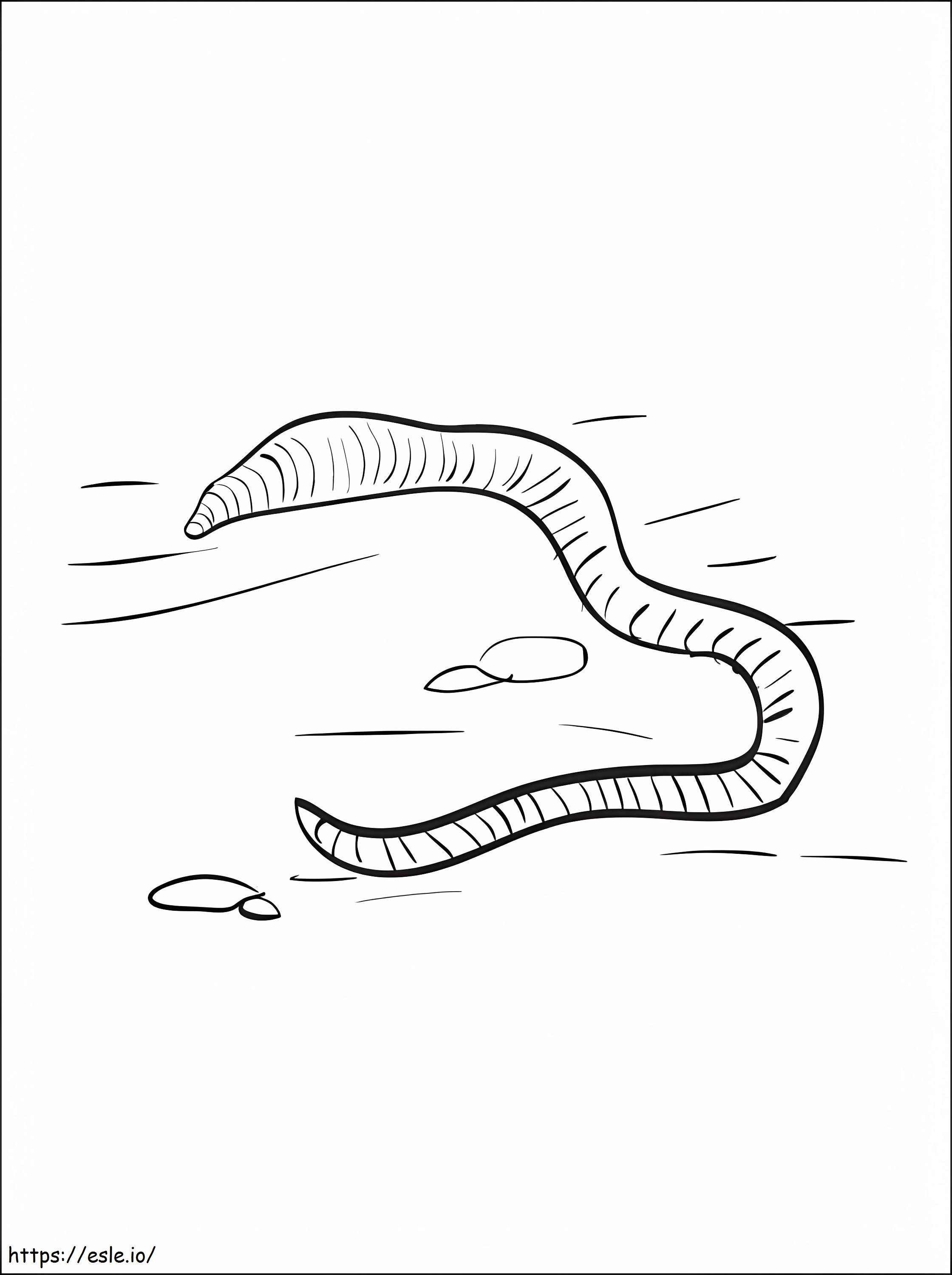 Earthworm 2 coloring page
