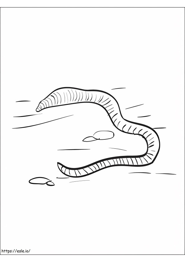 Earthworm 2 coloring page