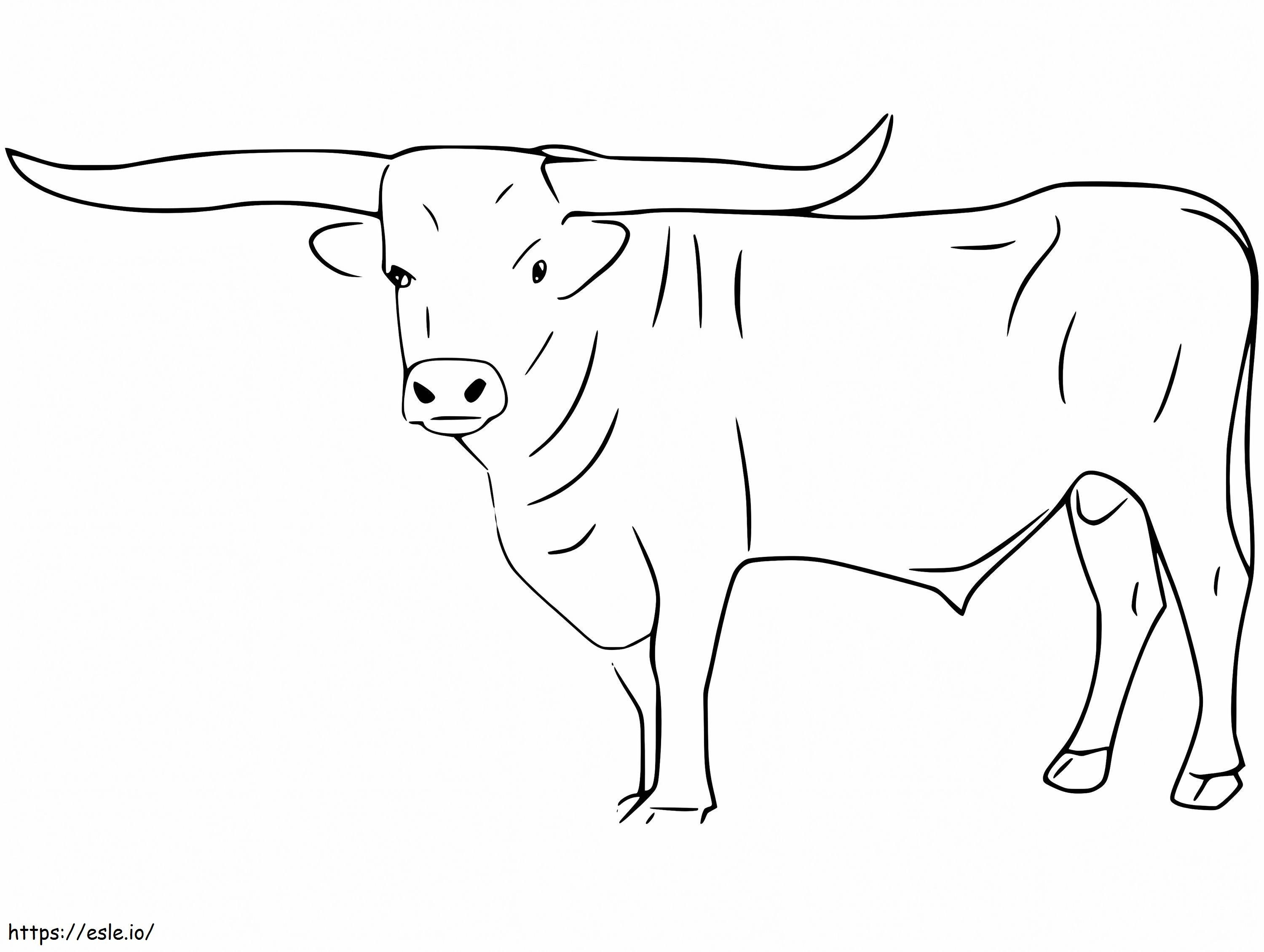 Long Horn Bull coloring page