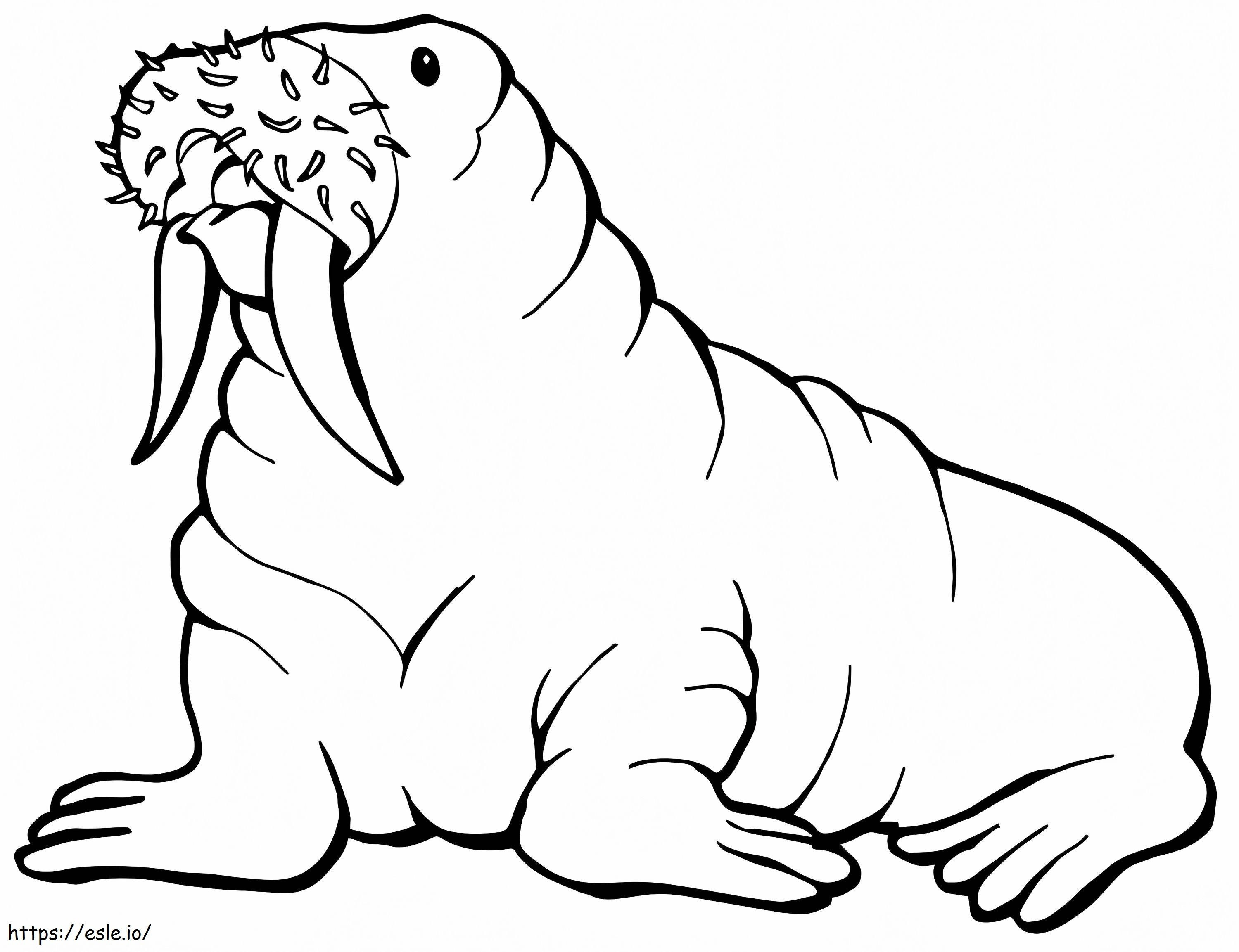 Walrus With Mustache coloring page