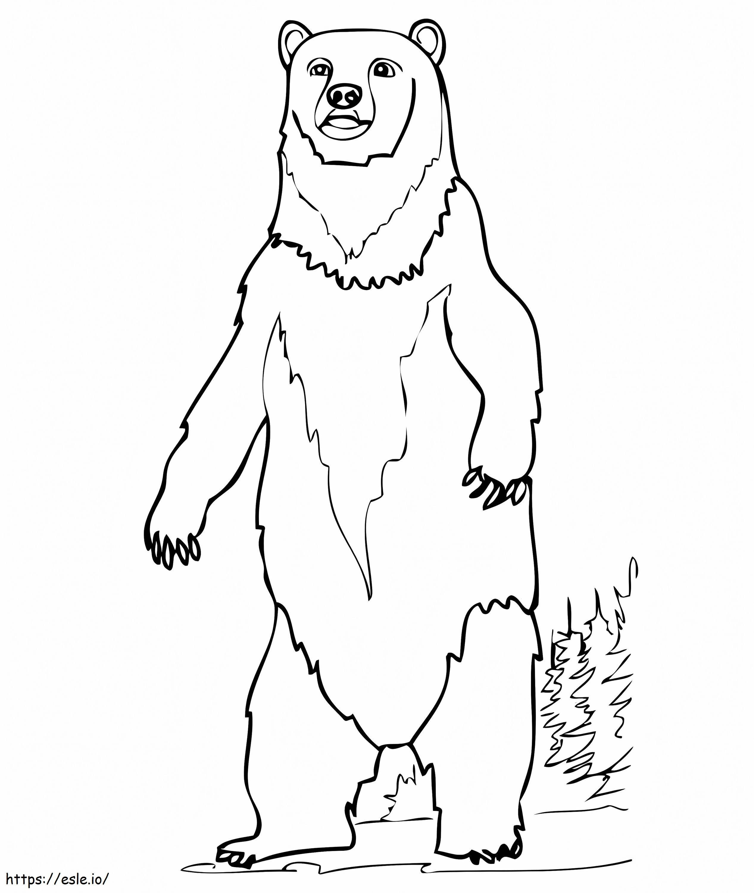 Brown Bear Standing coloring page