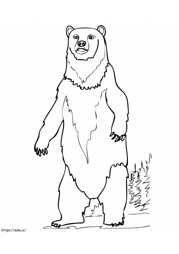 Ruskea karhu seisomassa värityskuva
