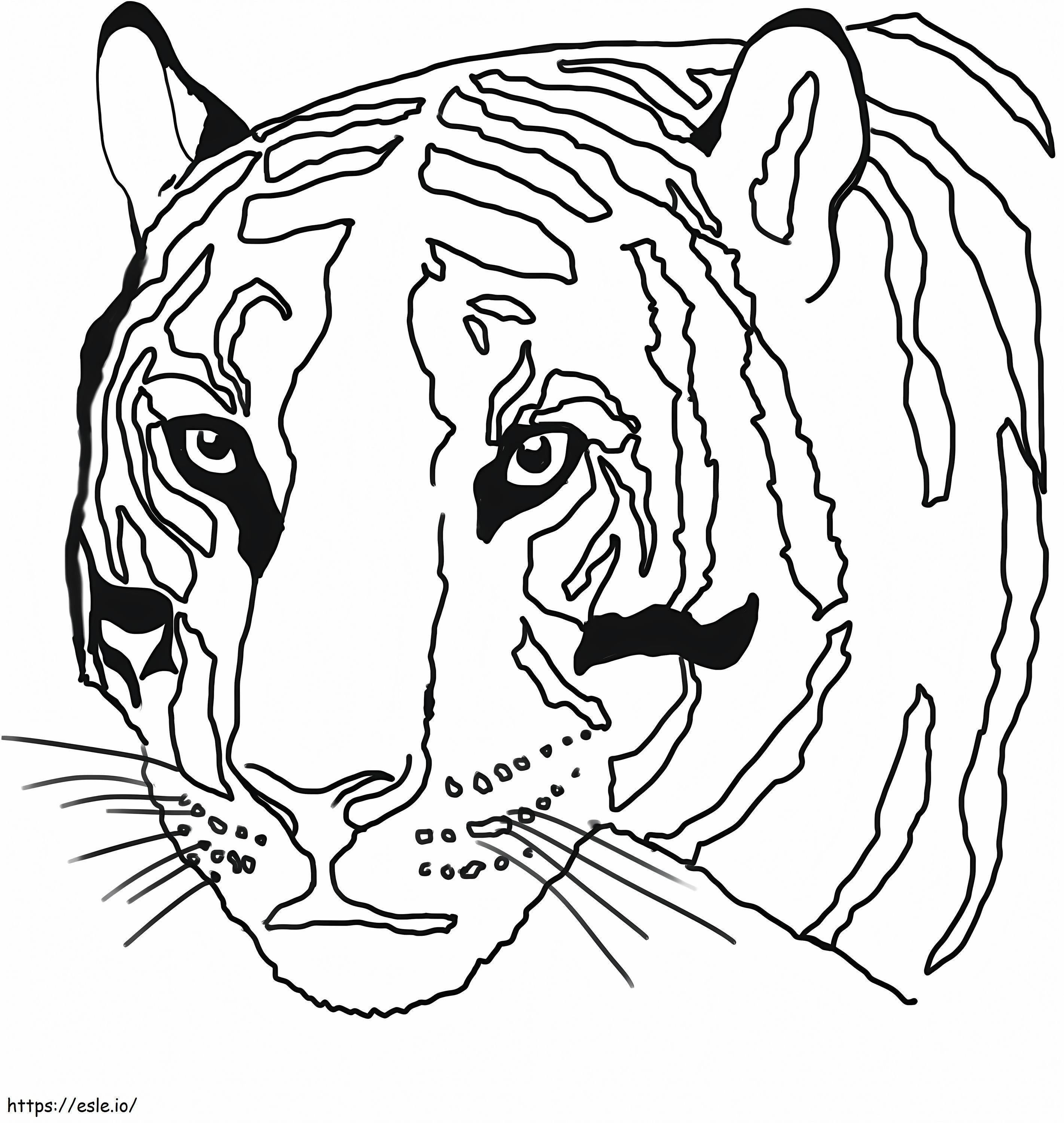Cap de tigru de colorat