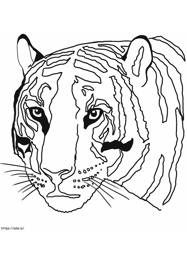 cabeza de tigre para colorear