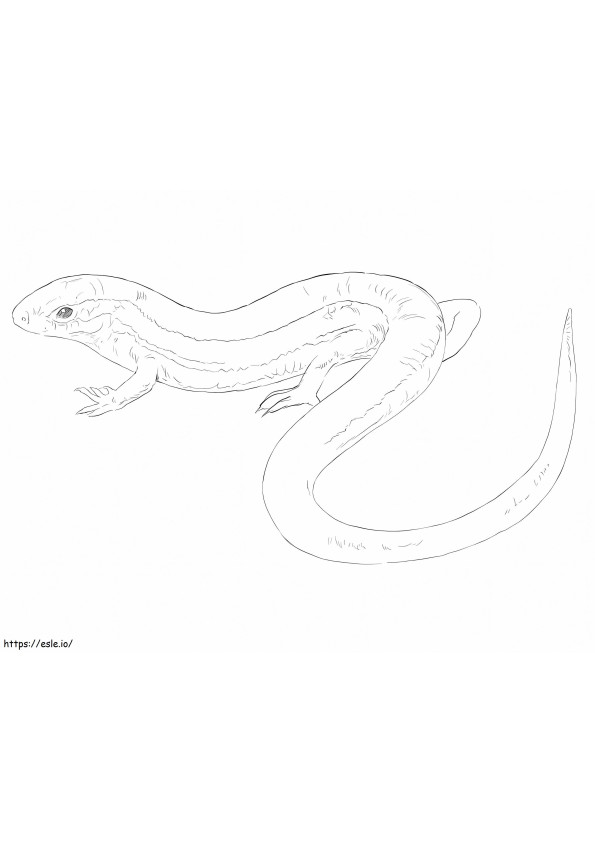 Southern Coal Skink coloring page