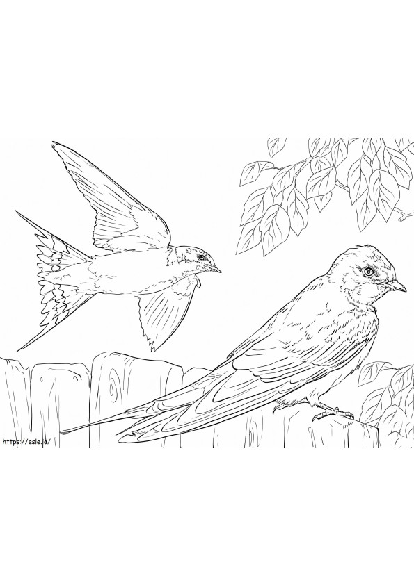 Barn Swallows coloring page