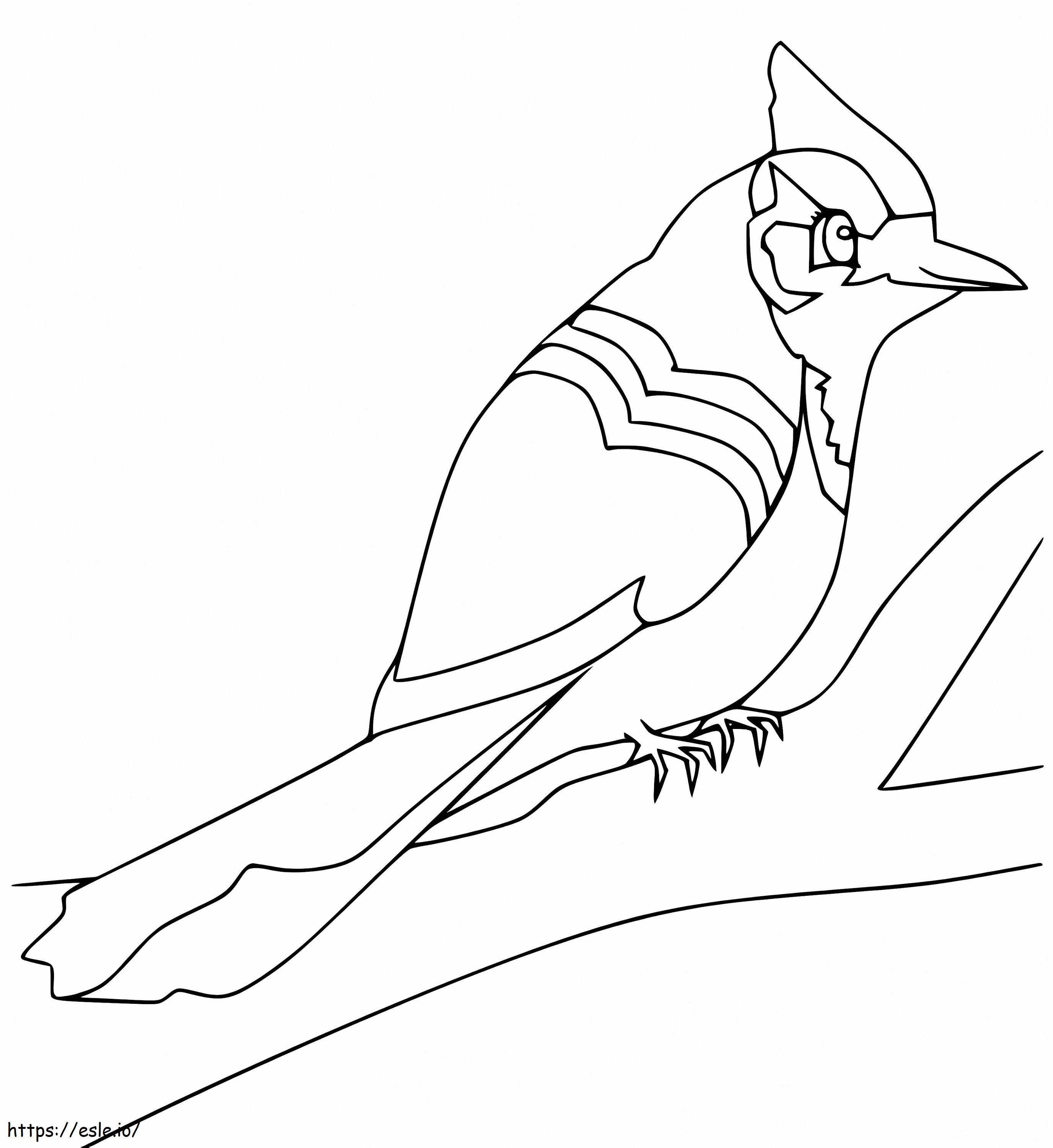 Cute Blue Jay coloring page