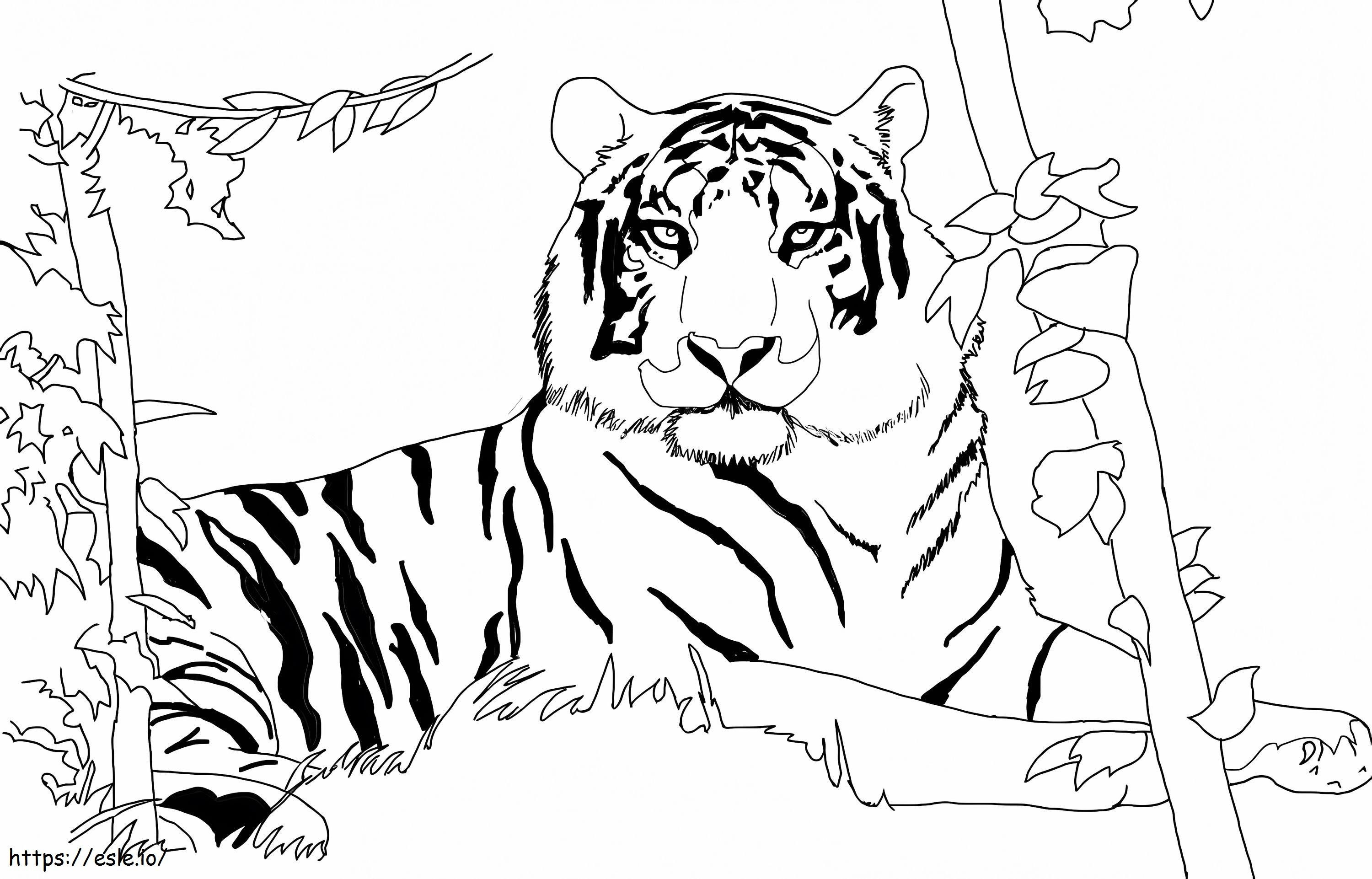 Tigre na natureza para colorir