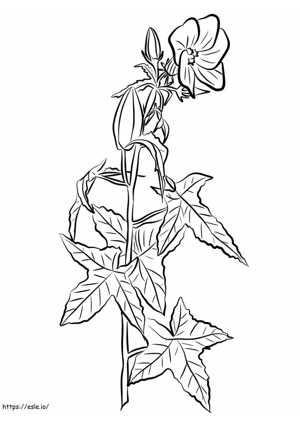 Annual Hibiscus coloring page