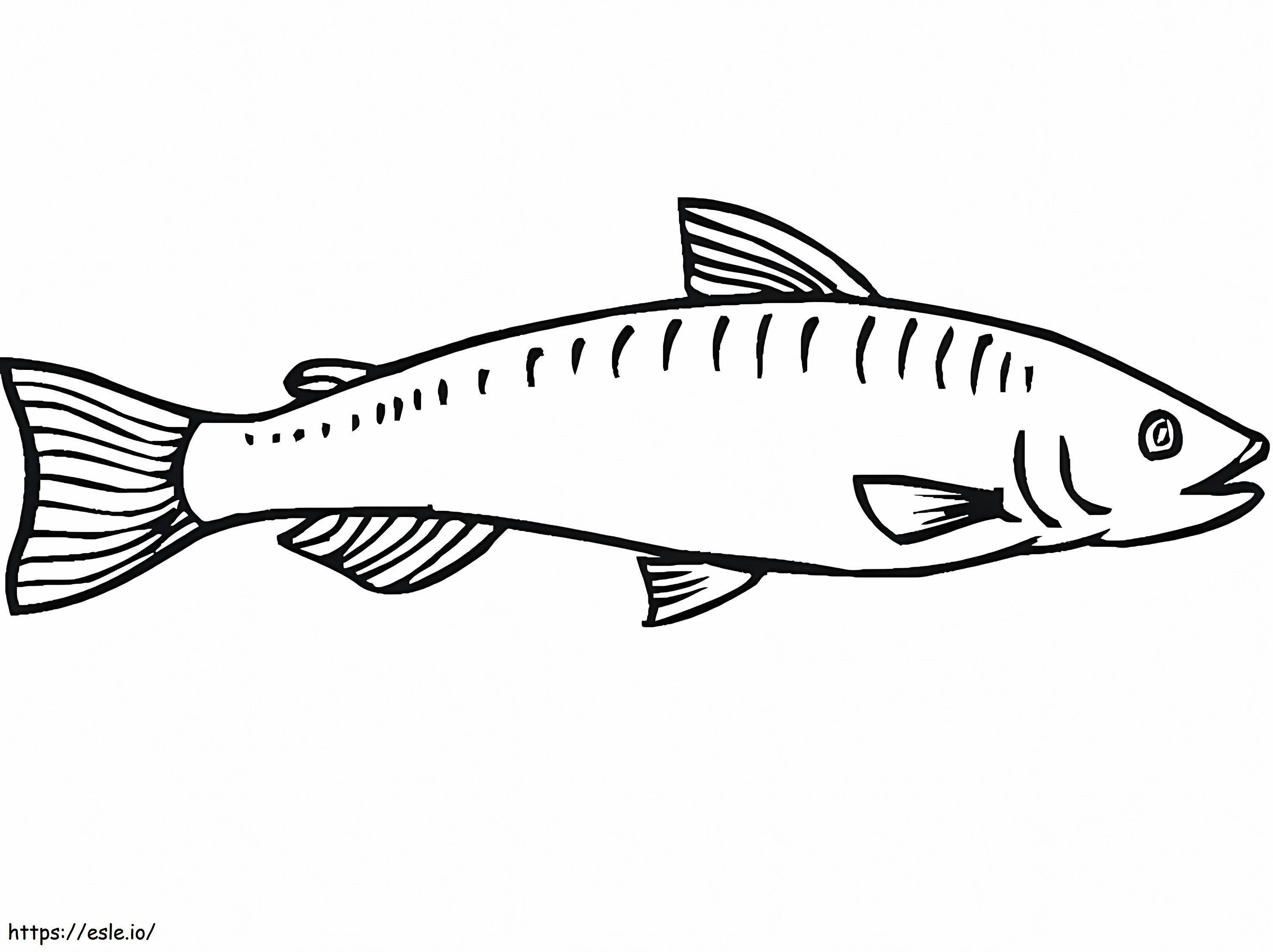 Satu ikan salmon Gambar Mewarnai