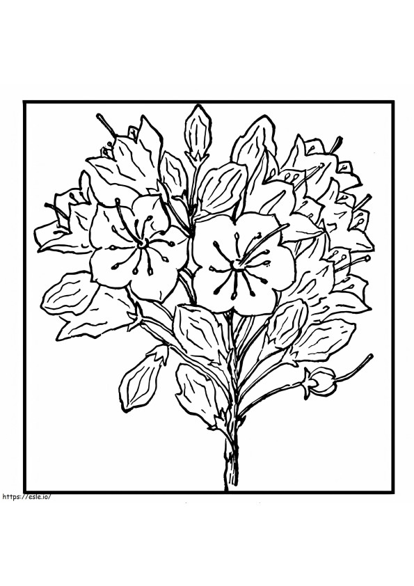 Flower Of The Distinguished States coloring page