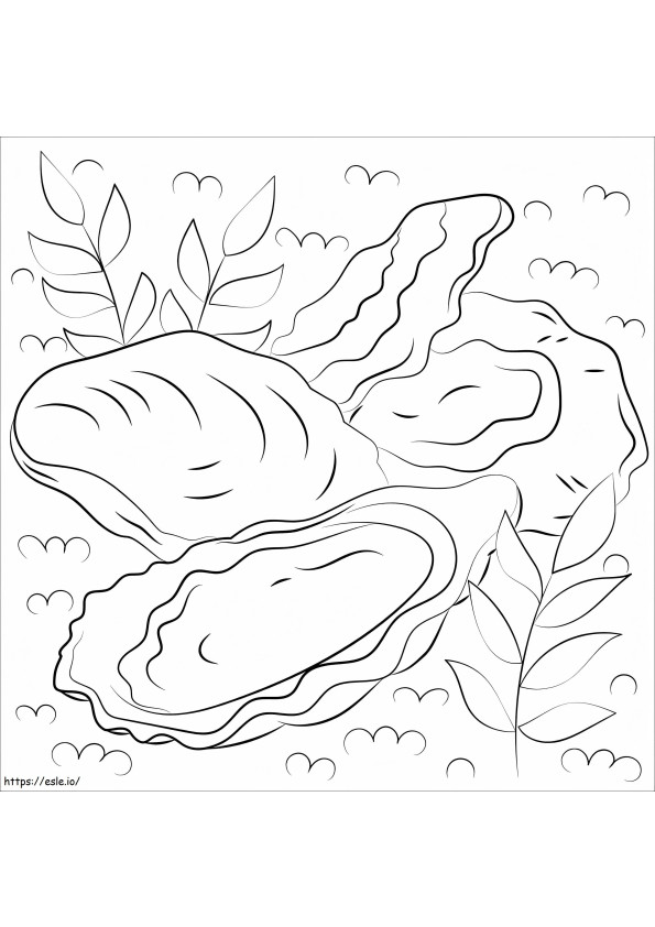 Oysters coloring page
