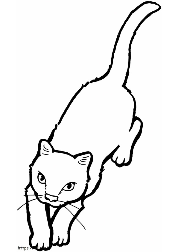 Chat 1 coloring page