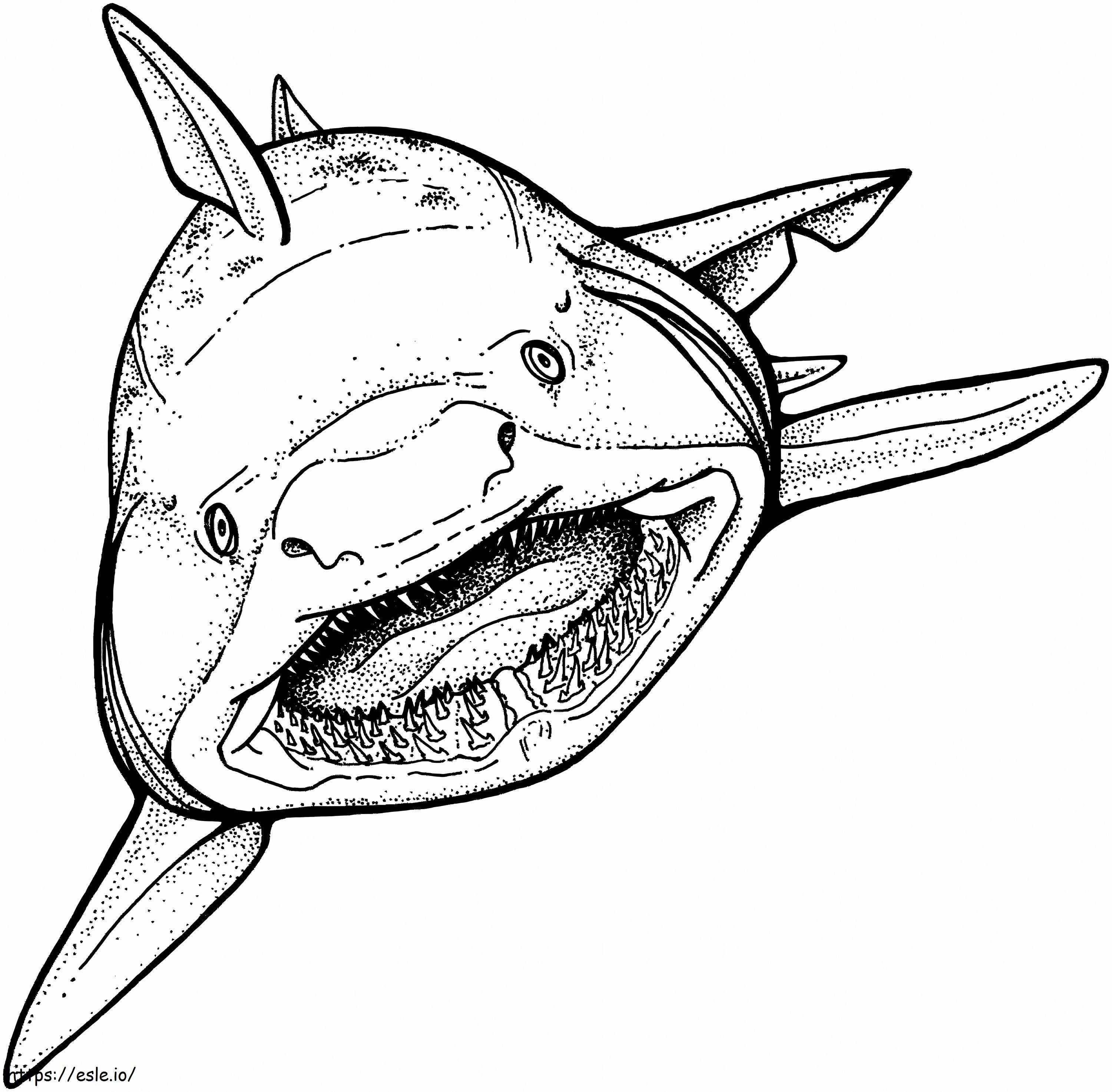 Hand Draw Shark coloring page