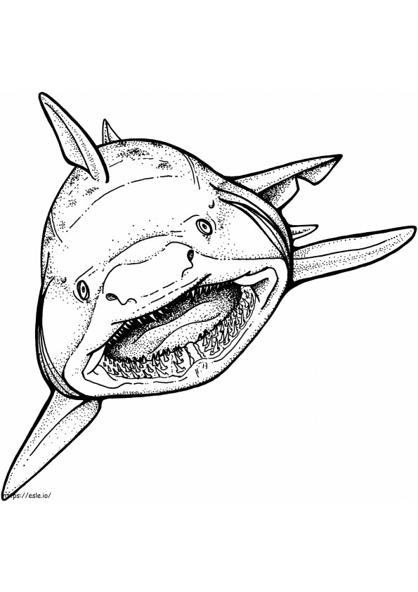 Coloriage Requin dessiné à la main à imprimer dessin