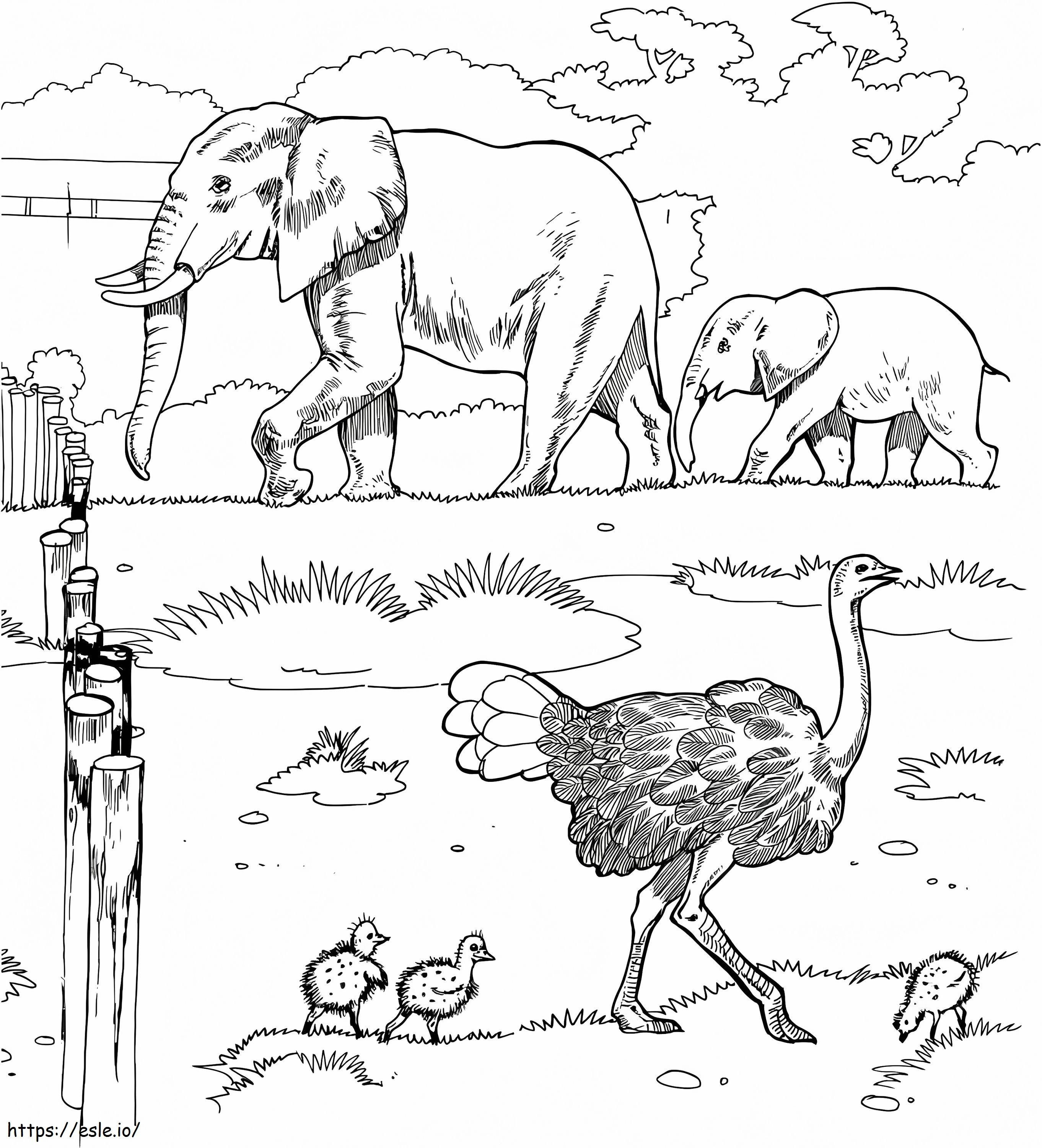 African Animals coloring page