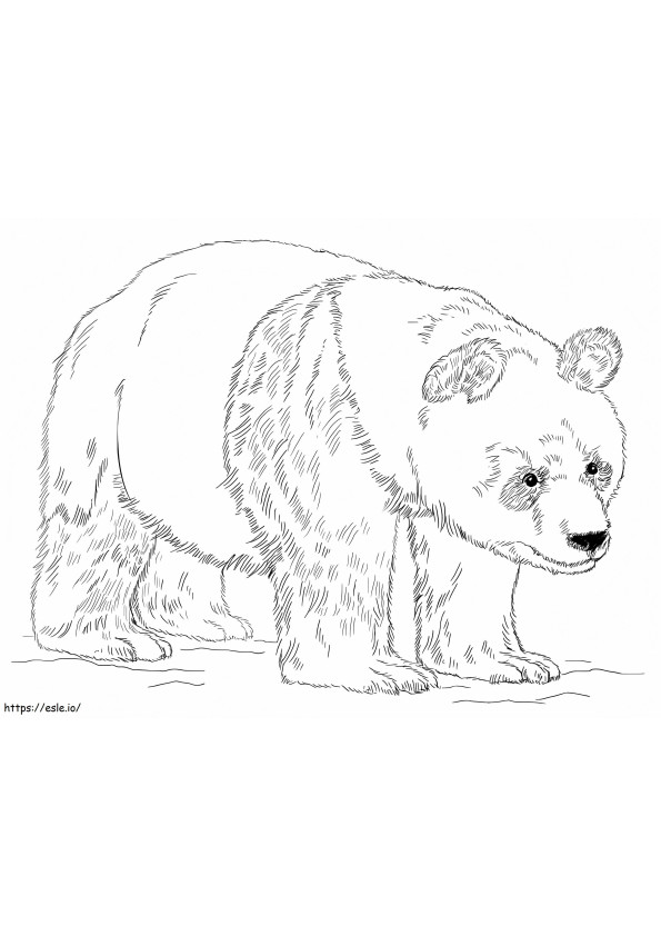Coloriage Panda géant 2 à imprimer dessin