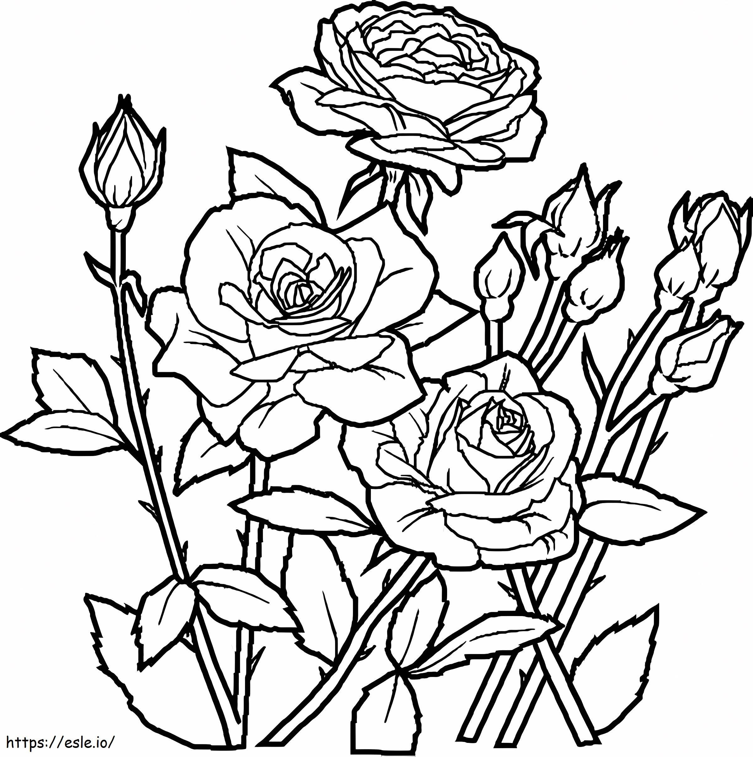 庭のバラの花 ぬりえ - 塗り絵