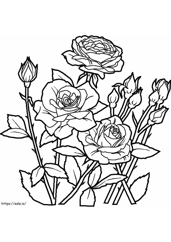 Kwiat Róży W Ogrodzie kolorowanka