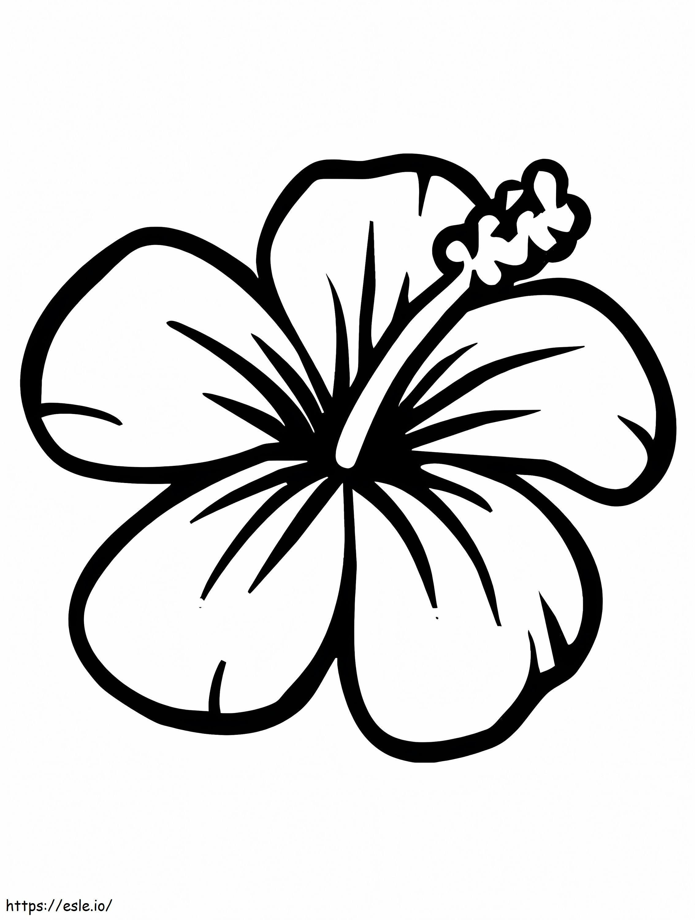 Hibiscus Flower 7 coloring page