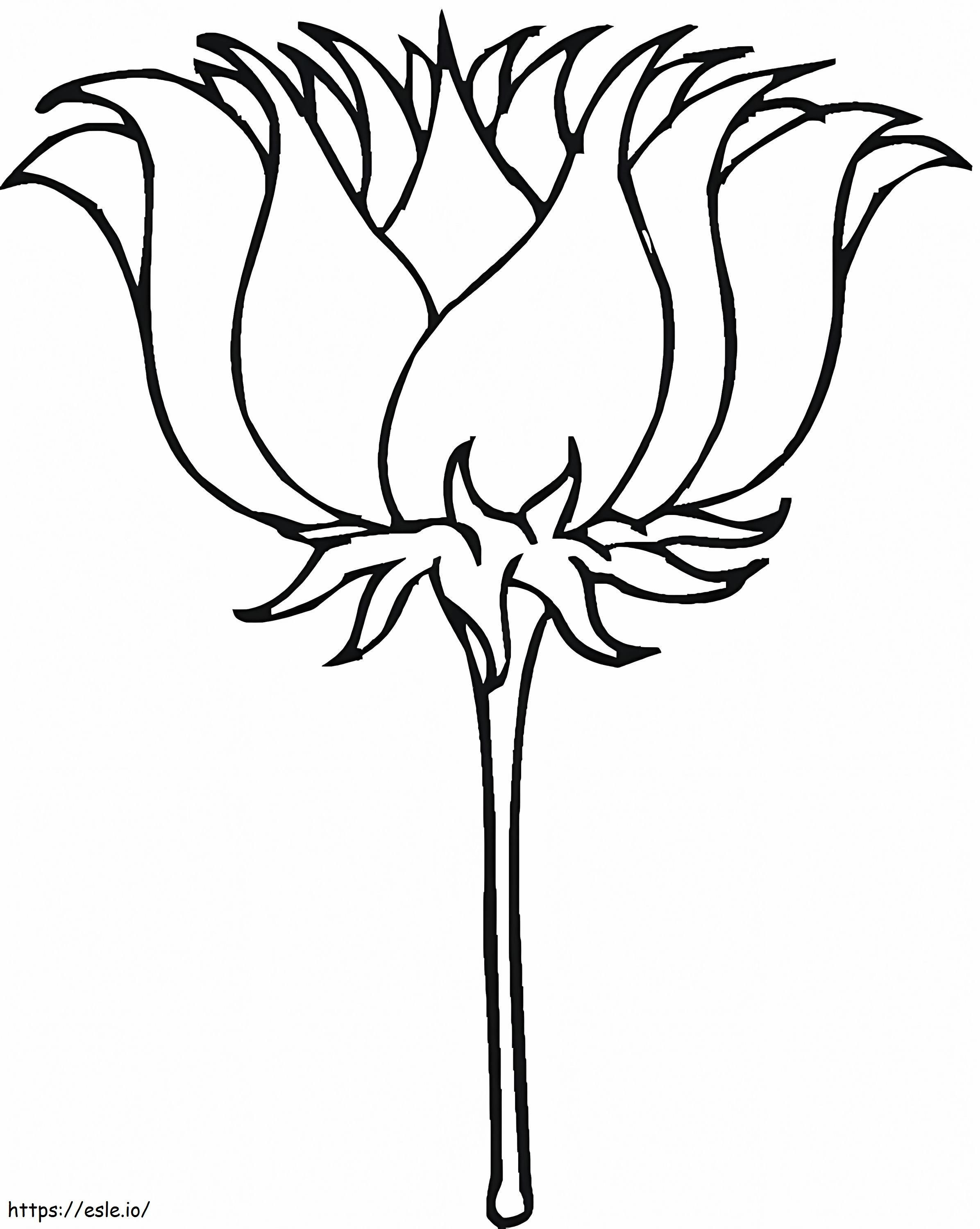 Imprimați Floarea de Lotus de colorat