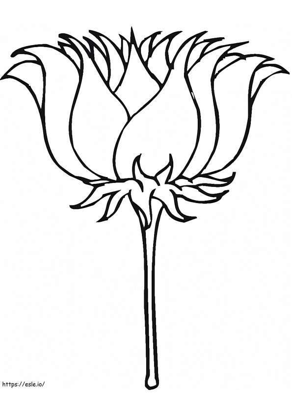 Imprimați Floarea de Lotus de colorat