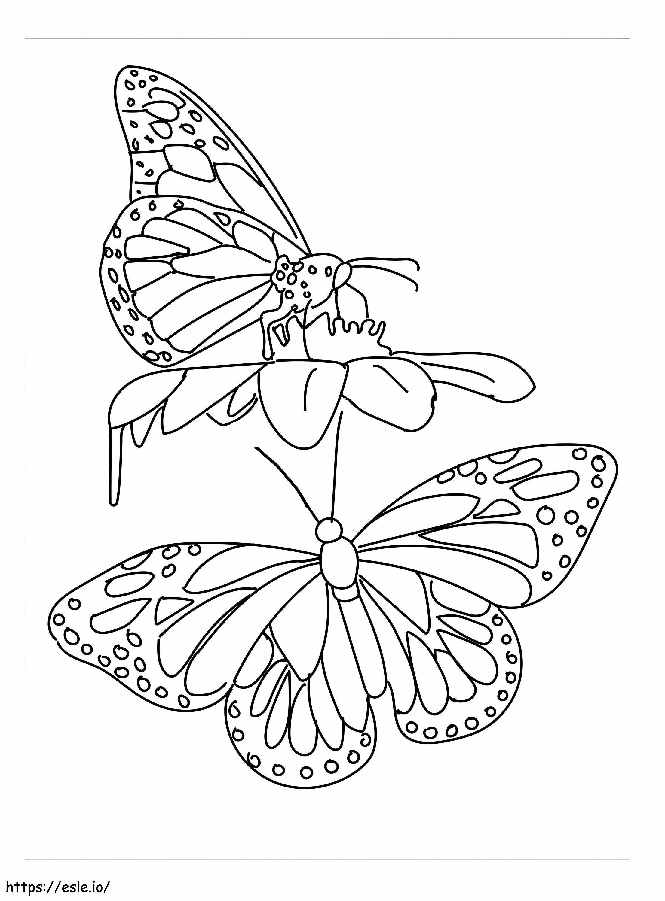 Duas borboletas para colorir