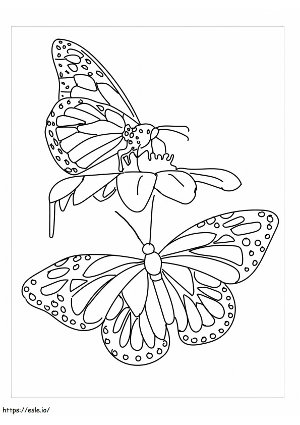Coloriage Deux papillons à imprimer dessin