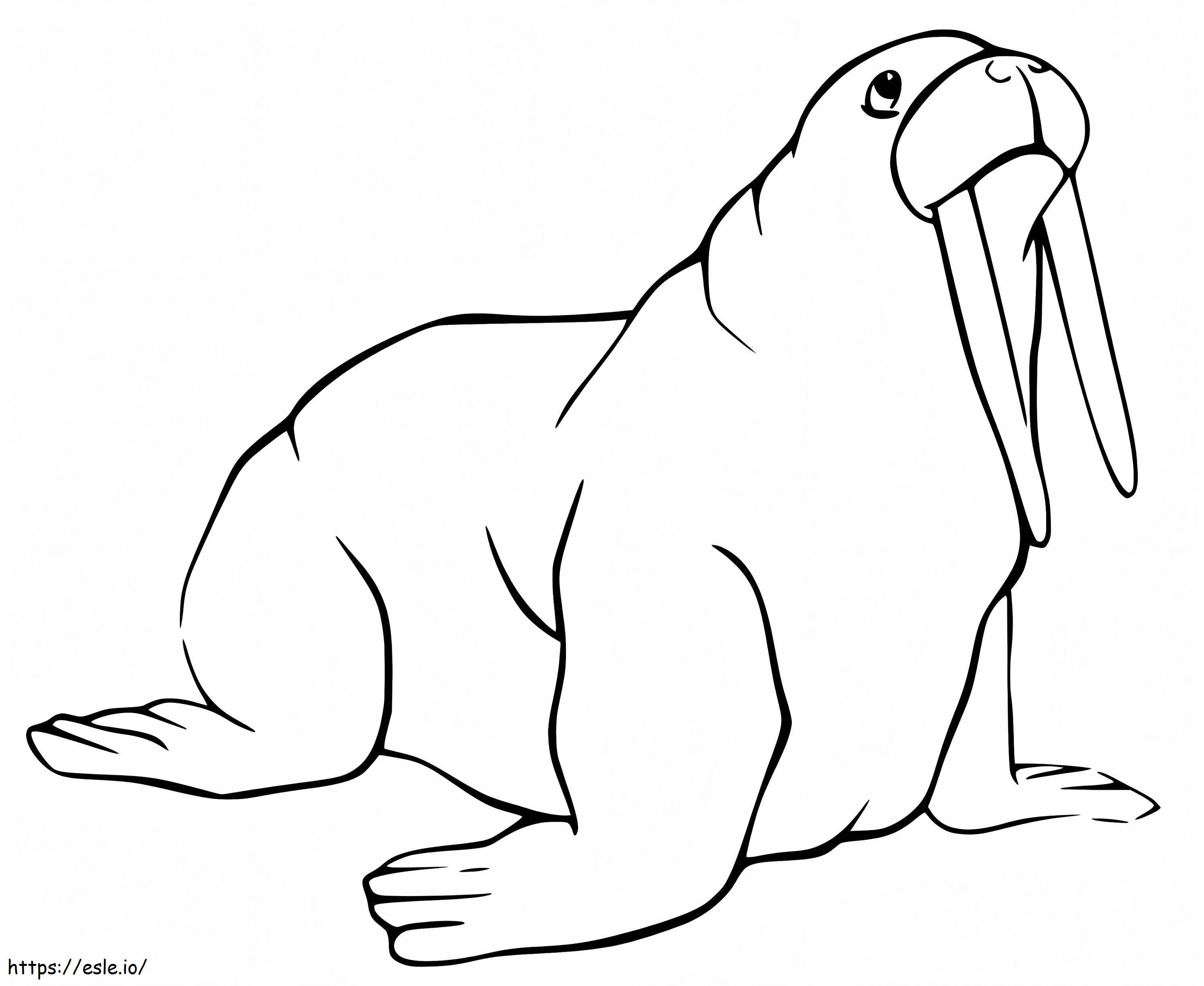 Walrussen 7 kleurplaat kleurplaat
