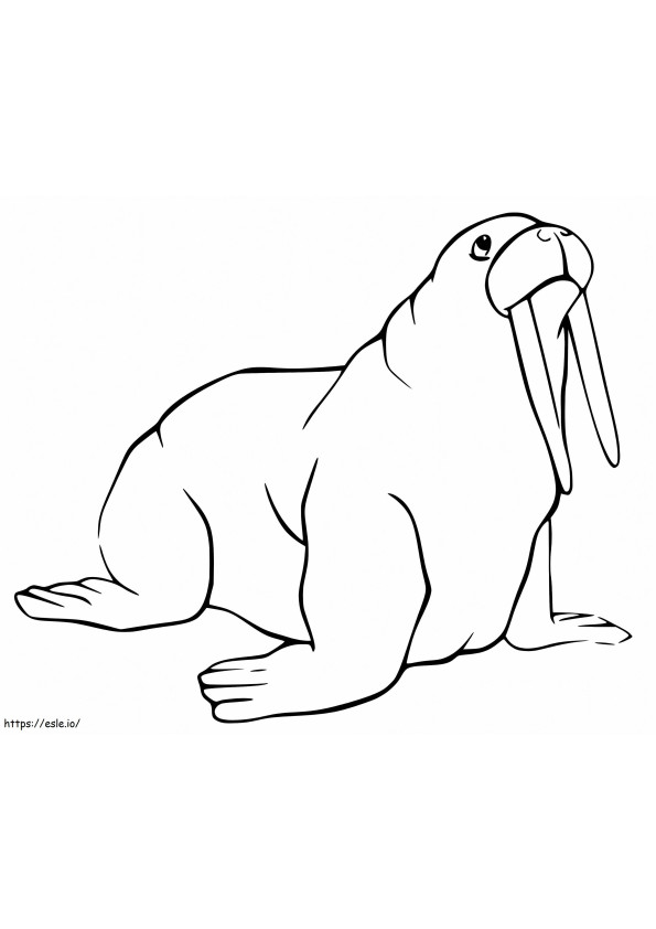 Walrus 7 coloring page
