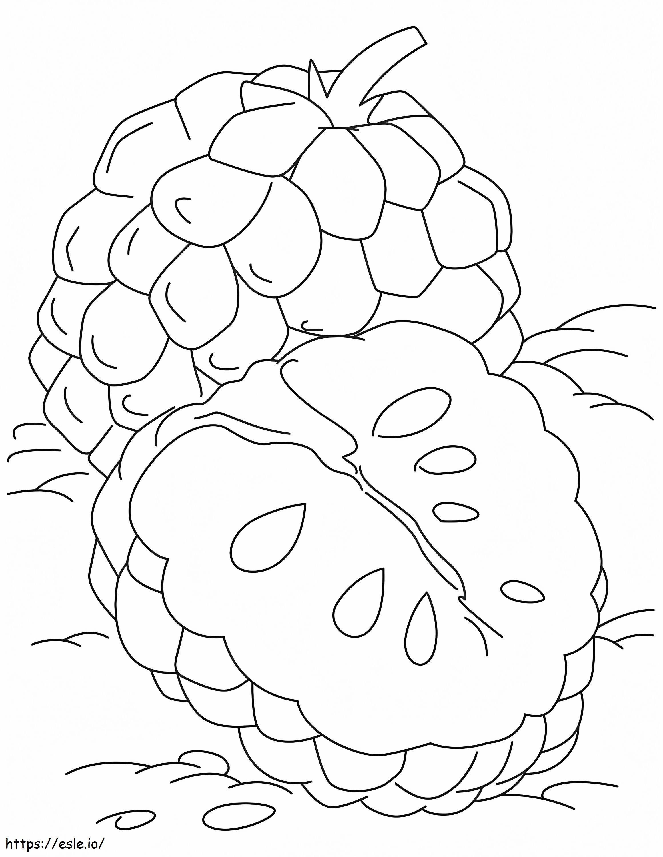 1545181358 Custard Apple Coloring 1 coloring page