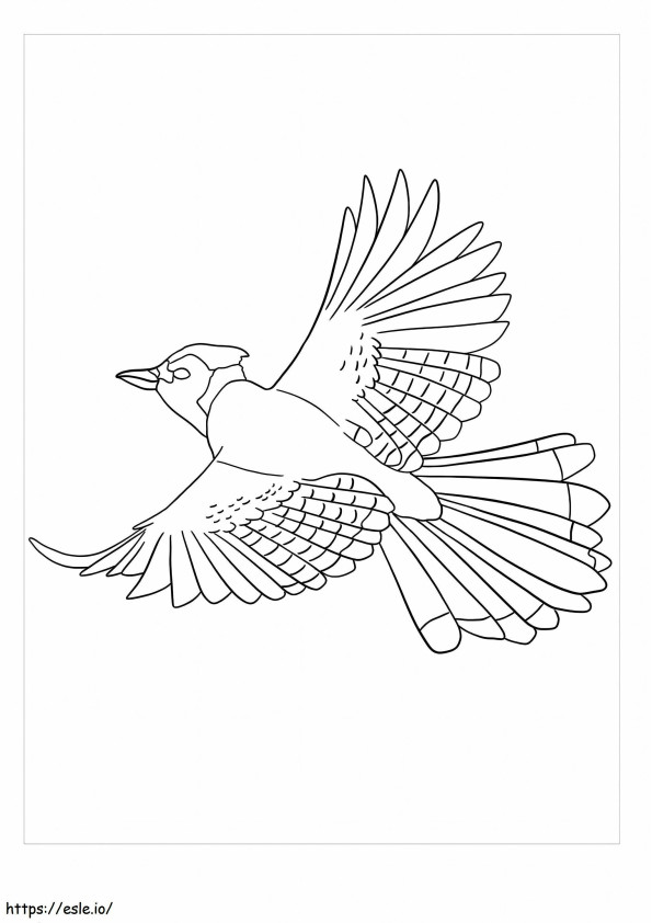 Coloriage Geai oiseau volant à imprimer dessin