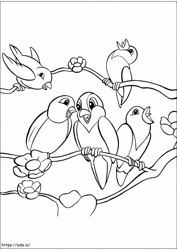 Pięć papug na gałęzi drzewa kolorowanka
