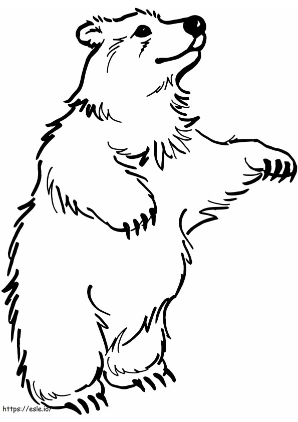 Free Brown Bear coloring page