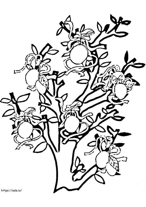 Narysuj drzewo cytrynowe kolorowanka
