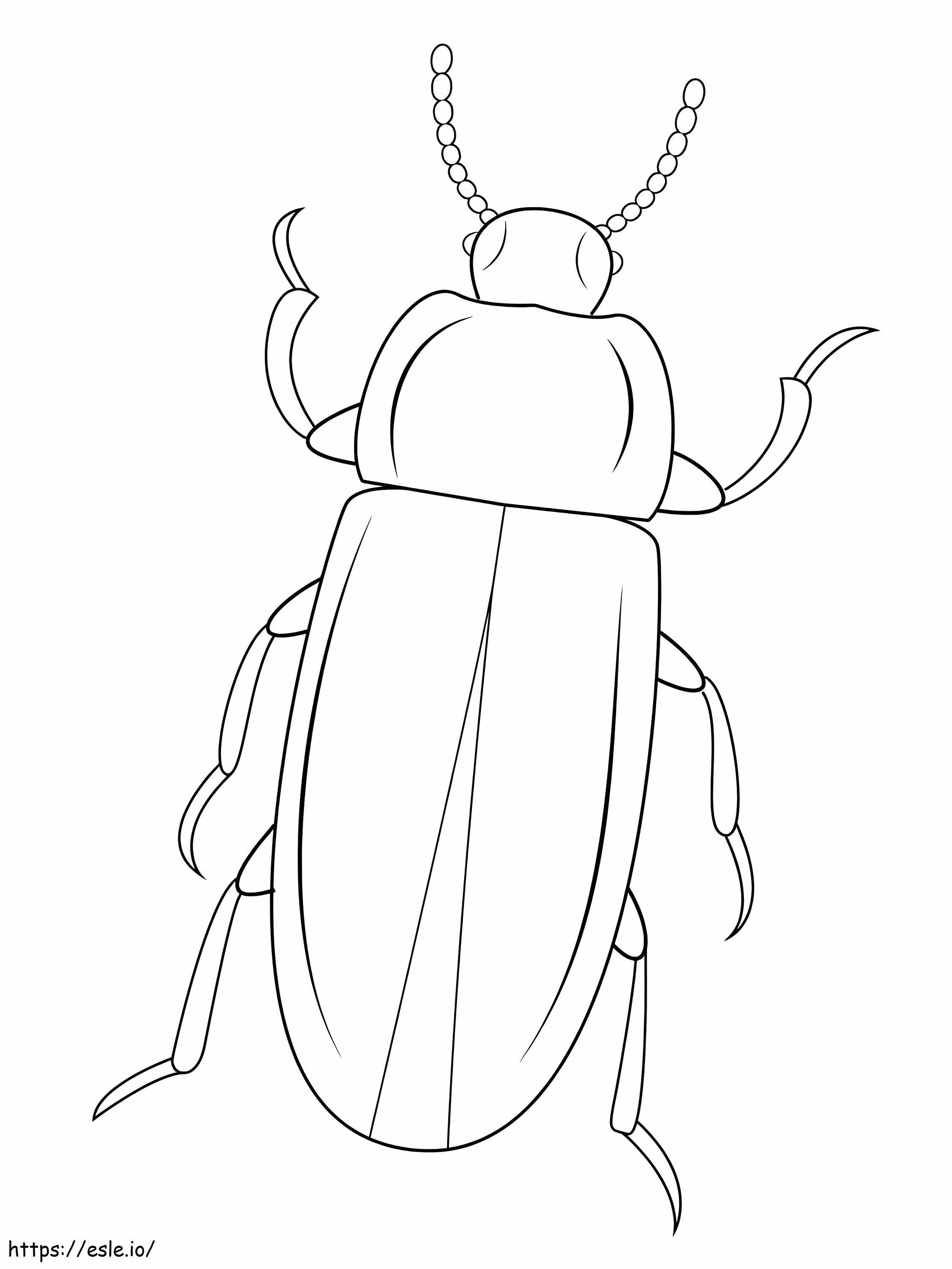 Kumbang Mealworm Gambar Mewarnai