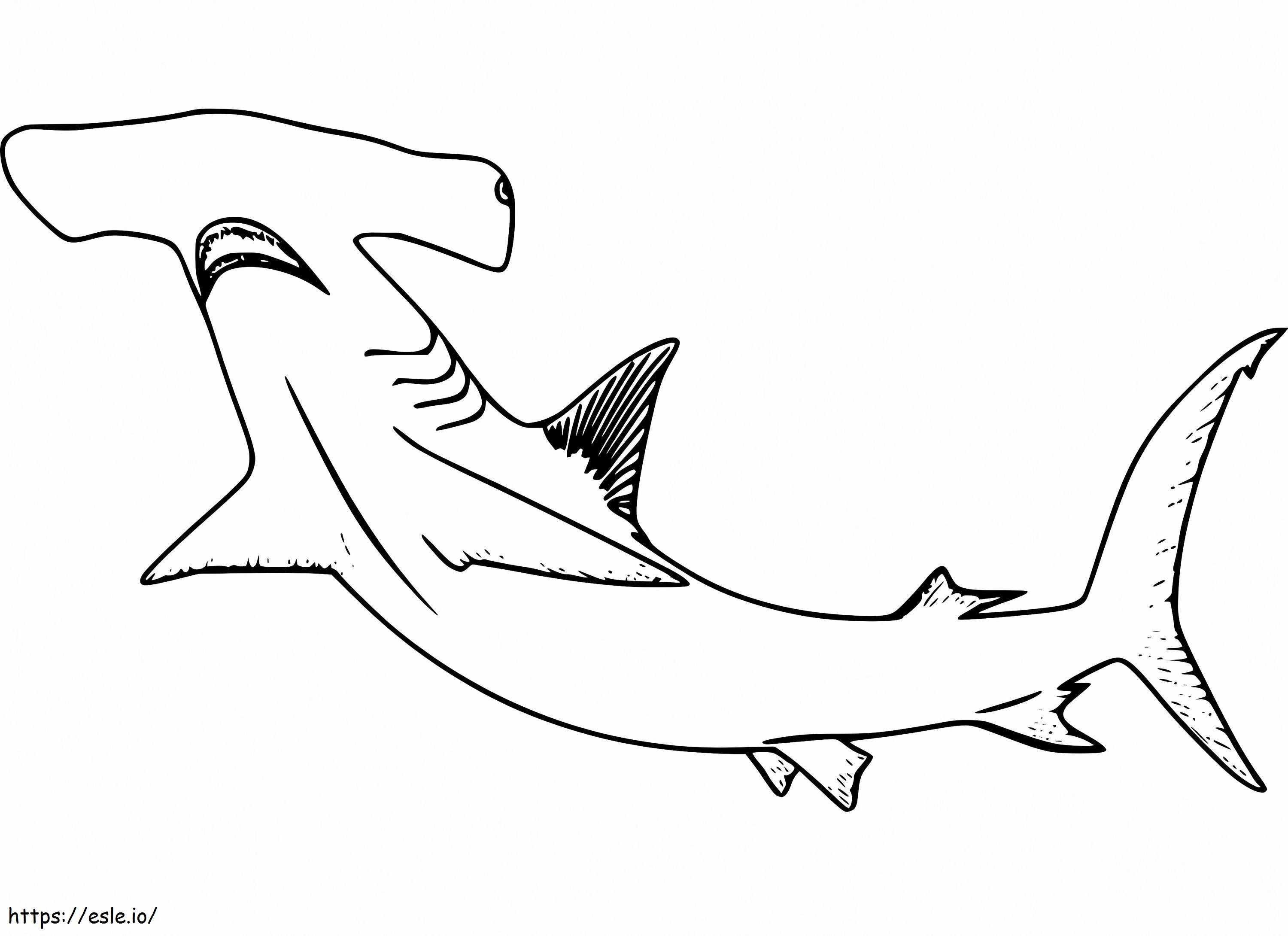 Coloriage Requin marteau 8 à imprimer dessin