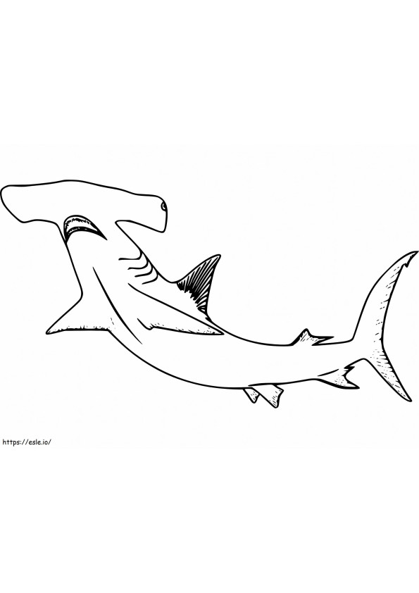 Tiburón martillo 8 para colorear