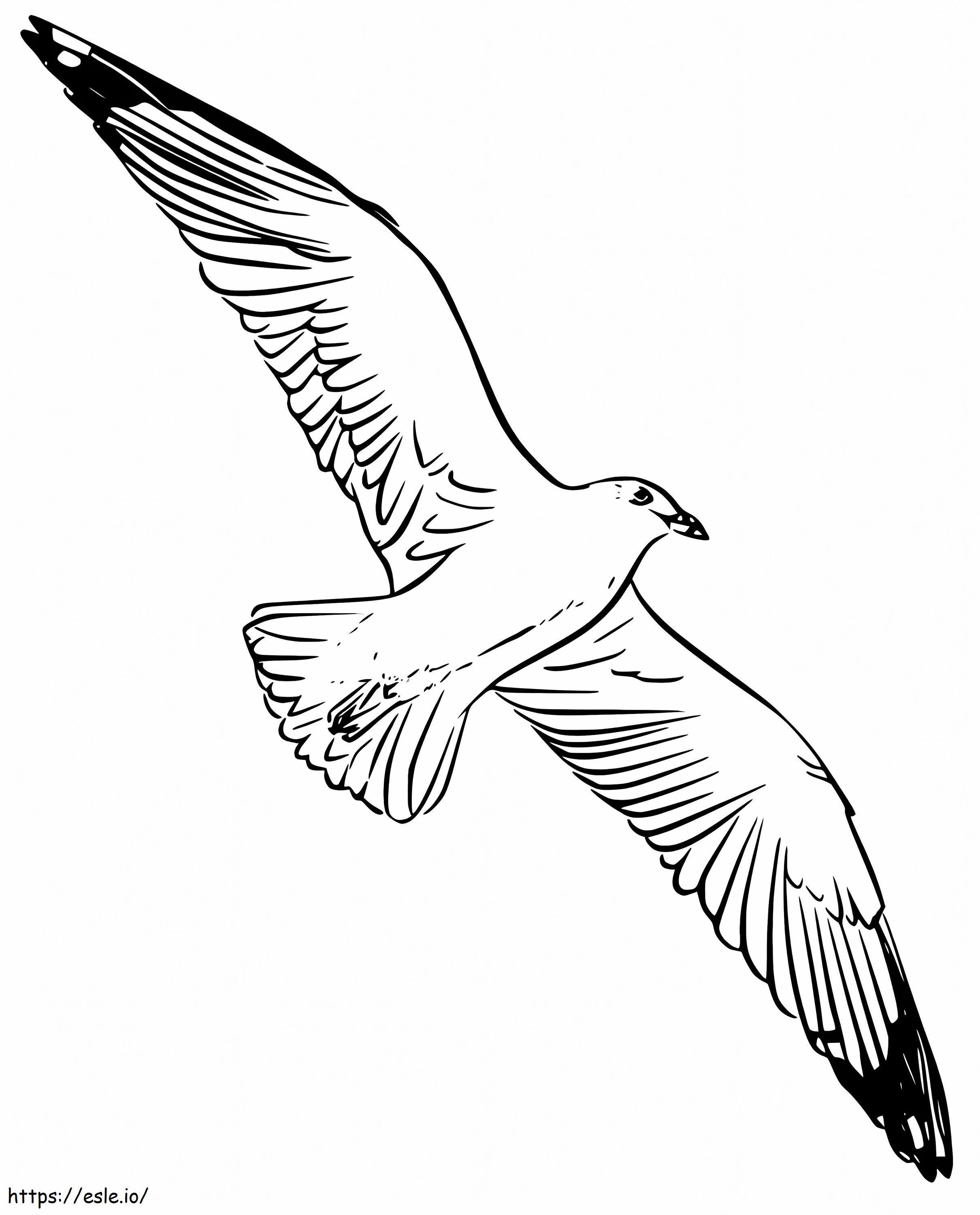 Zburând Albatros de colorat
