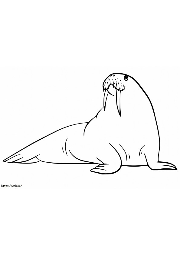 Walrus 4 coloring page